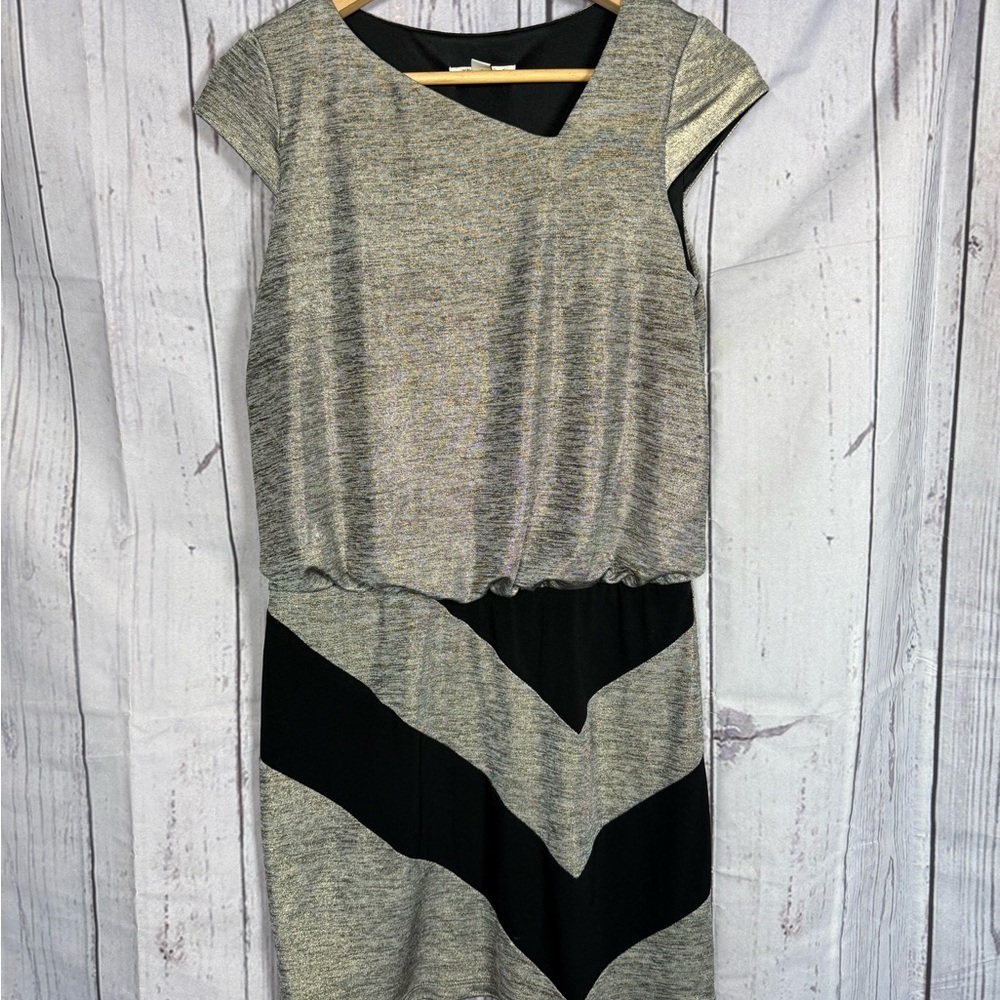 Sandra Darren Women’s Dress Metallic Size 4